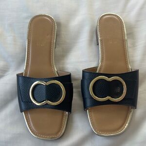 EUC Coach Slides